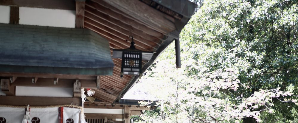 Cypress-bark eaves and a hanging iron lantern at Kumano Hongu Taisha, with white shrine banners below and spring trees beside the hall