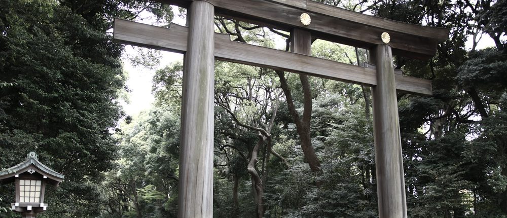 A giant plain wooden torii gate in a dense green forest, with a stone lantern at the side