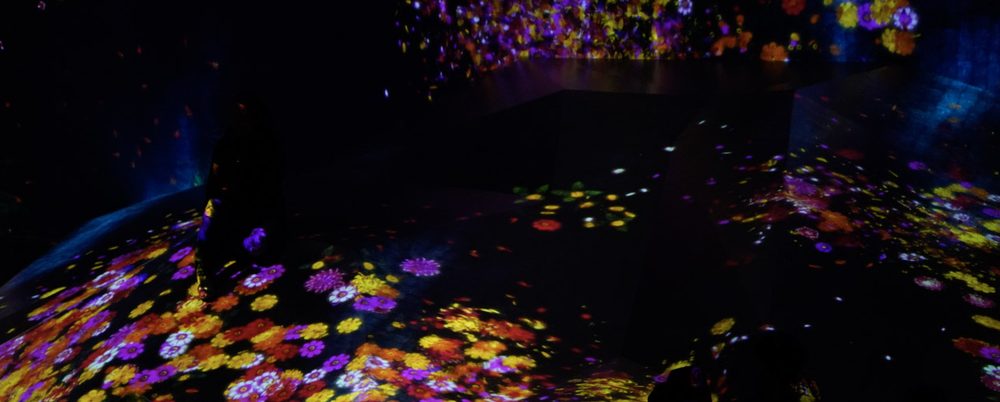 A sloping floor covered in projected yellow, purple and orange flowers in a dark room